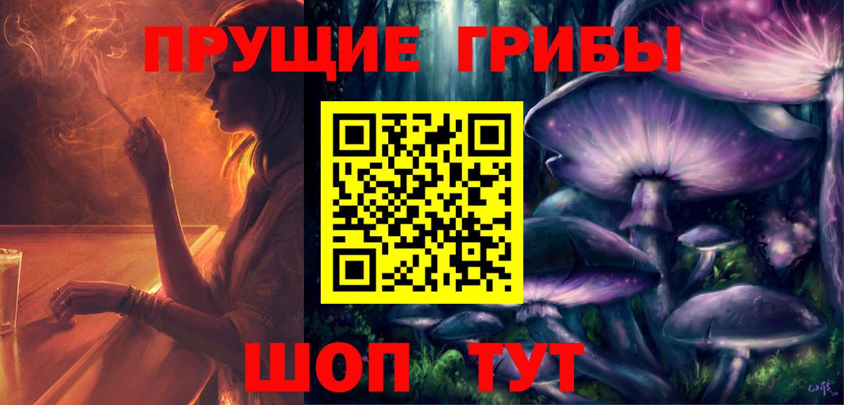 Псилоцибиновые грибы Cubensis Котельники
