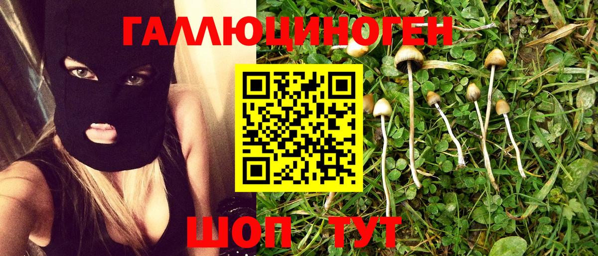Котельники  Галлюциногенные грибы Psilocybine cubensis  Галлюциногенные грибы прущие грибы  Вход с VPN 